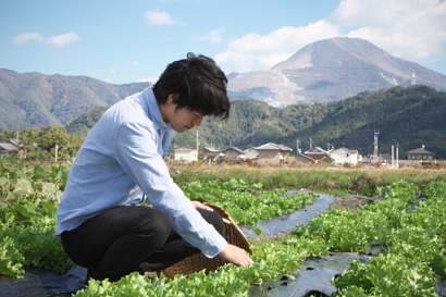 野菜集合