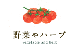 野菜やハーブ