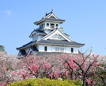 長浜城　フォトリア